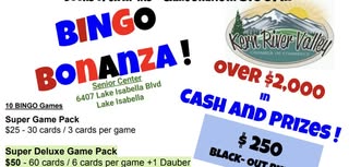 Bingo Bonanaza
