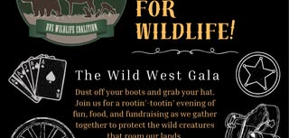 Wild West Gala