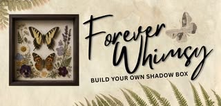 Forever Whimsy: Build Your Own Butterfly Shadow Box