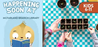 Little Seedlings