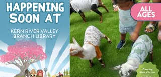 Golden Meadow Goats