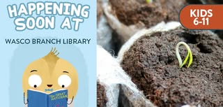 Little Seedlings