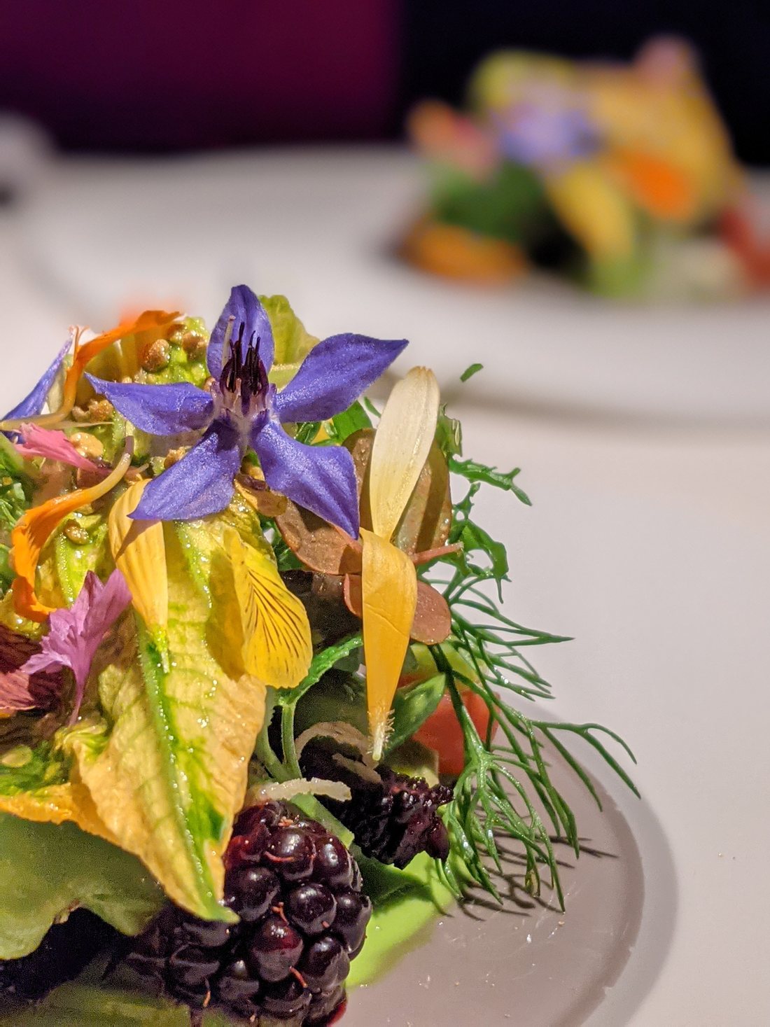 Close-up of a plated course at Manresa: lettuces and herbs topped with a blue borage flower, yellow squash blossom, nasturtium petals, dill fronds, and a single blackberry