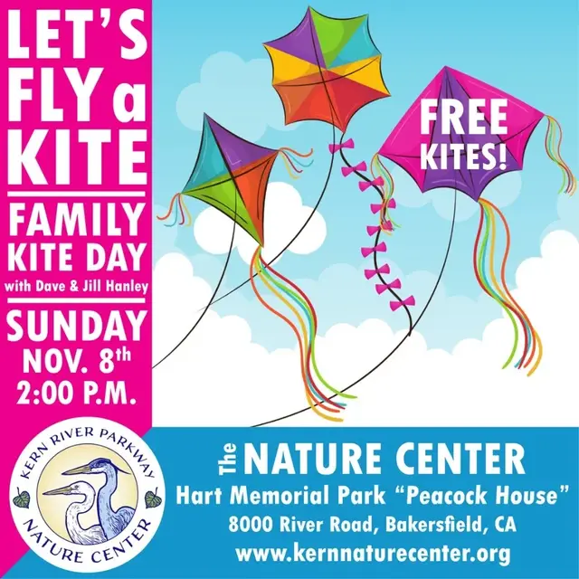 “Let’s Go Fly a Kite” A Family Activity!