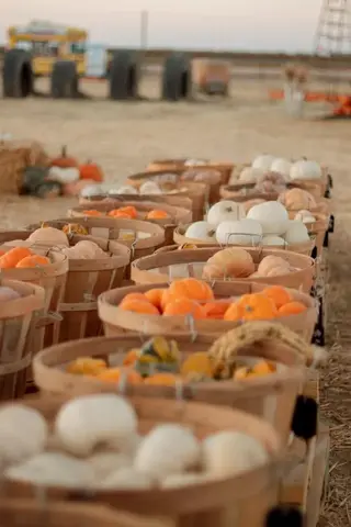 Cherry Acres Pumpkin Patch
