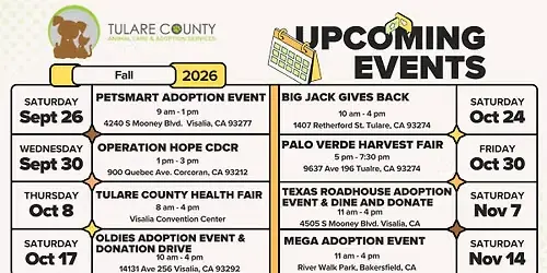 TCAS at the Mega Adoption Event