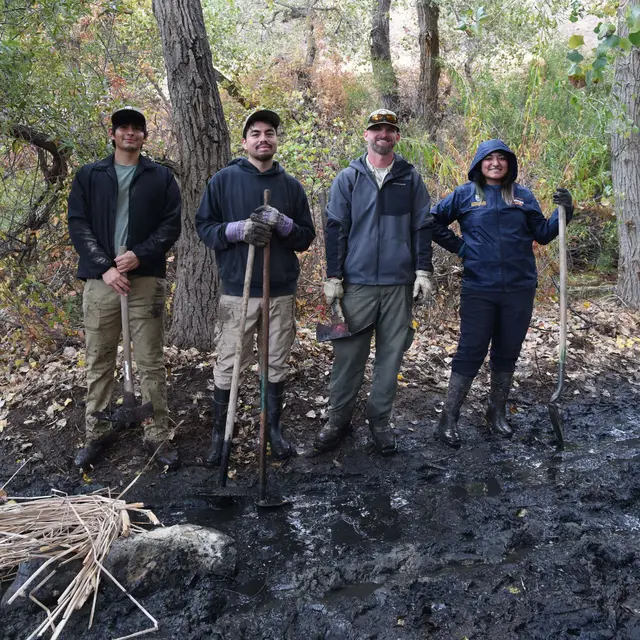 Volunteer Day: Waterfall Cleanup
