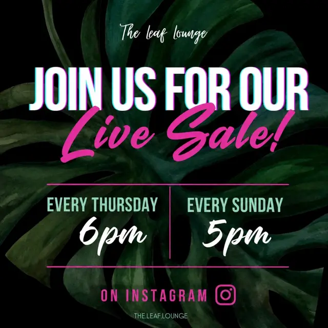 Instagram Live Sale – 10/29 @ 6pm