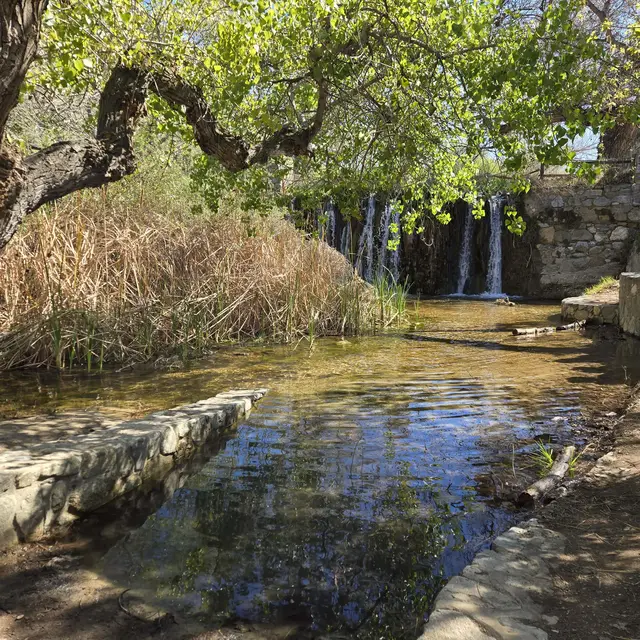 Volunteer Day: Waterfall Cleanup